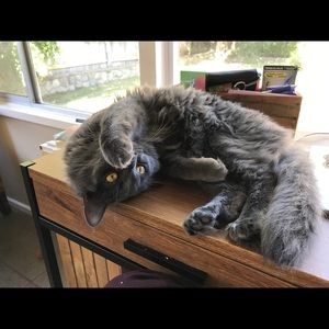 Meet your Posher, Katherine